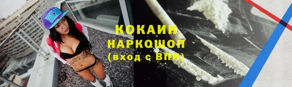 хмурый Алзамай