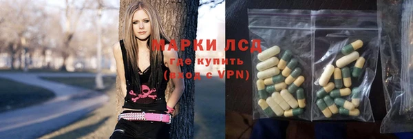 хмурый Алзамай