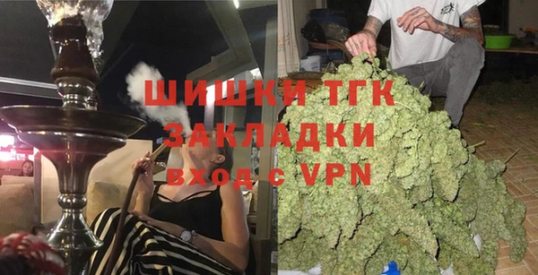 хмурый Алзамай