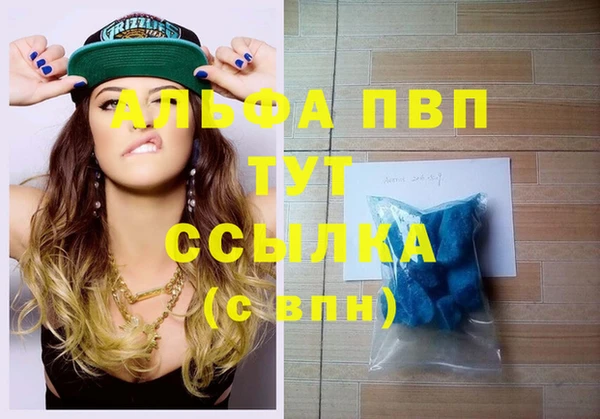 индика Дмитровск