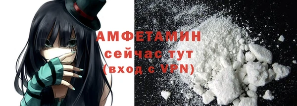 хмурый Абаза